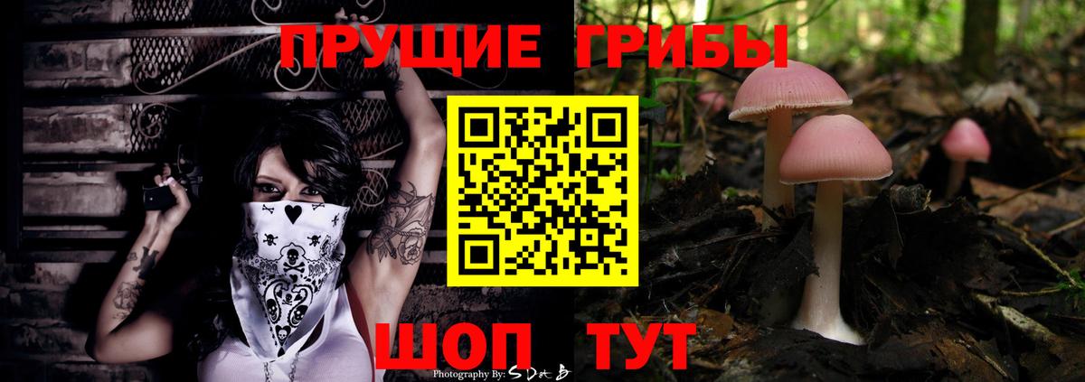 Галлюциногенные грибы прущие грибы  Вход с VPN  купить наркоту  Владикавказ 
