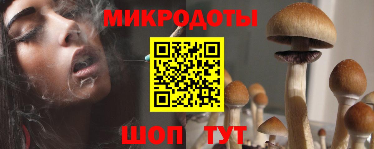 Галлюциногенные грибы Psilocybine cubensis Владикавказ