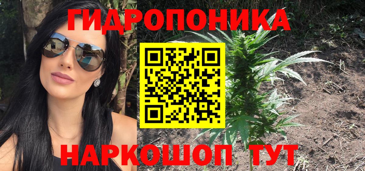 Шишки марихуана конопля Владикавказ
